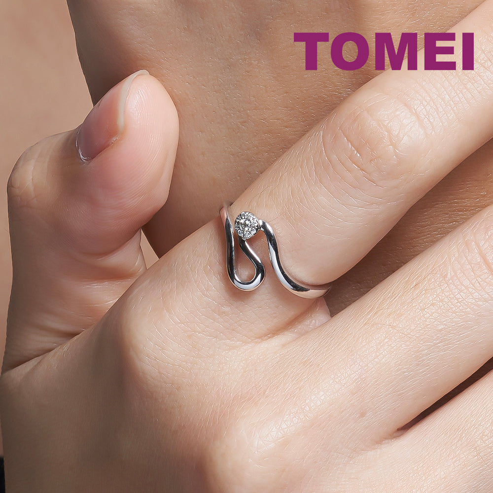 tomei_0005_Sony_21965_jpg